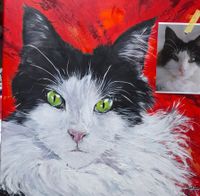 Katzen-Portrait nach Foto
